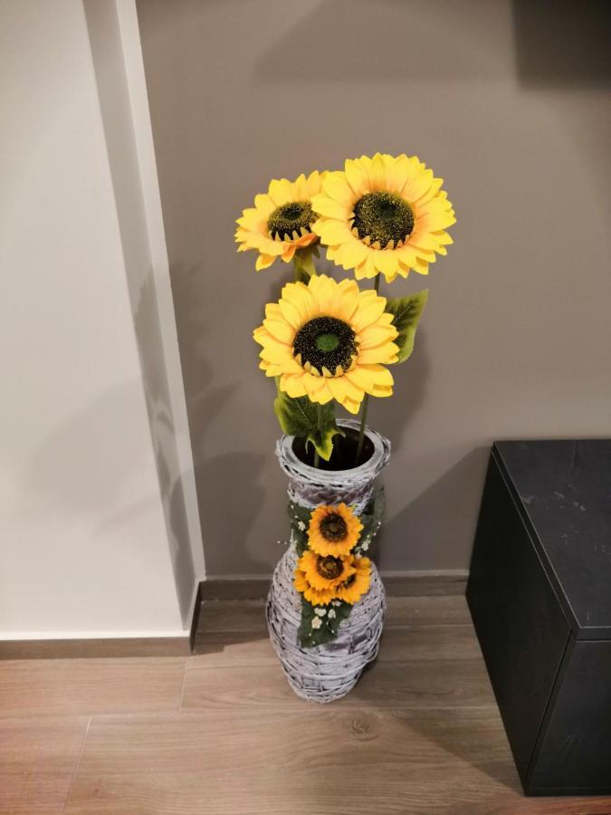 La Casa Dei Girasoli Marsala Eksteriør billede